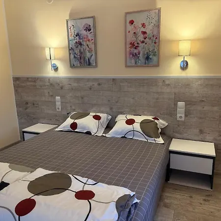 за гости Toda Pensiune